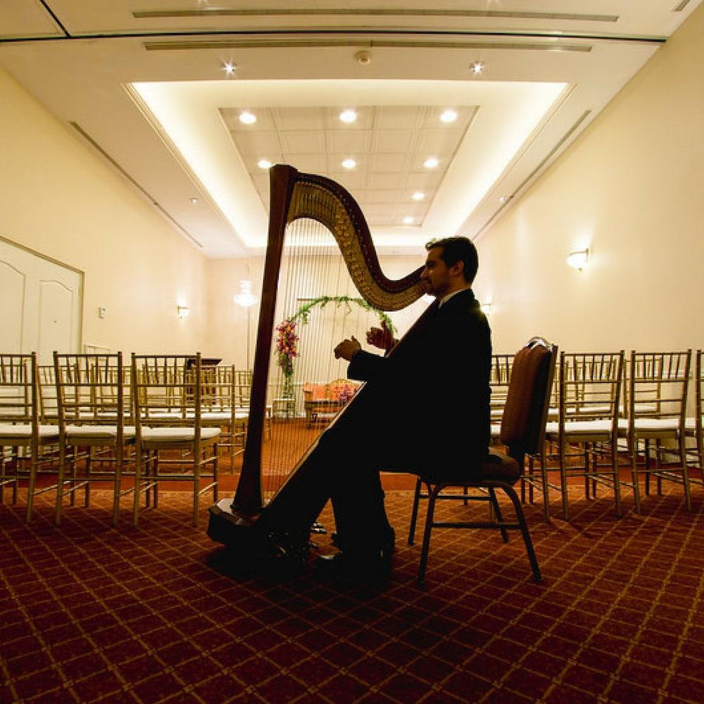 Safi Royal Luxury Valle San Pedro Garza Garcia Exterior photo Harpist at a wedding
