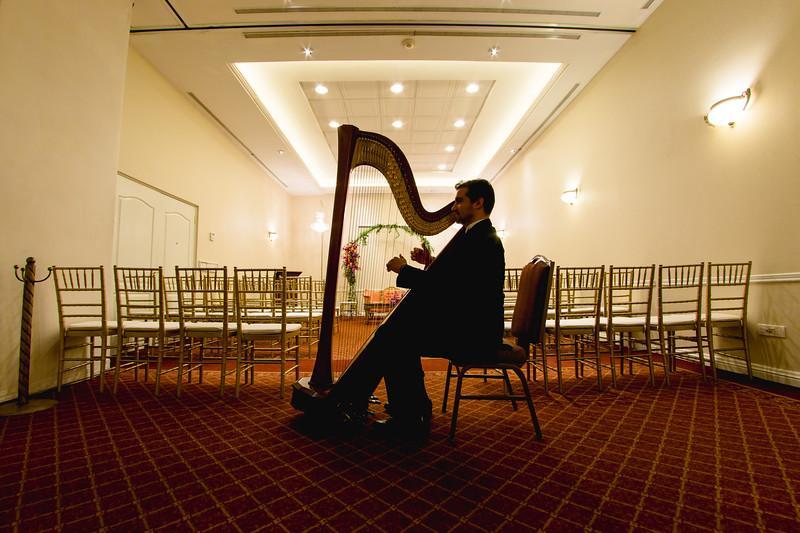 Safi Royal Luxury Valle San Pedro Garza Garcia Exterior photo A harpist playing at a wedding